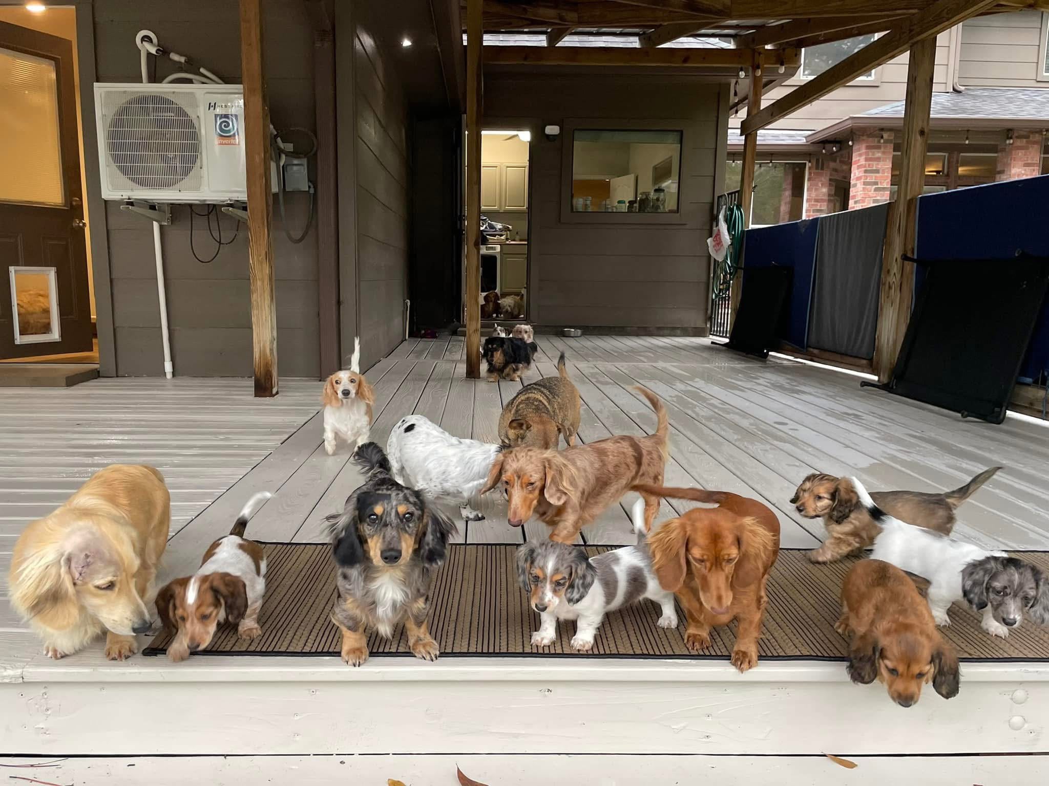 Raised Together With Care