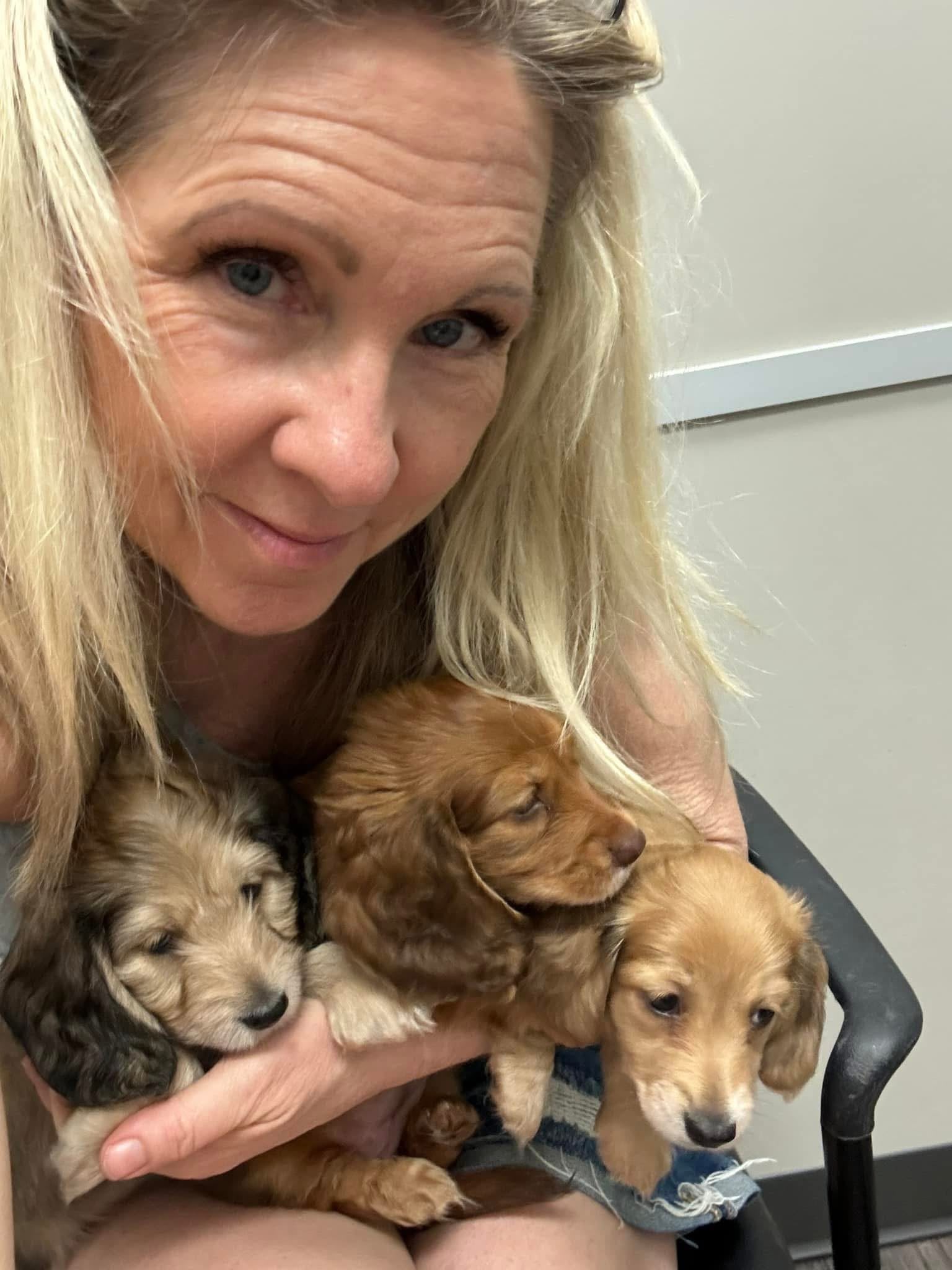 Beautiful Puppies, Loving Care