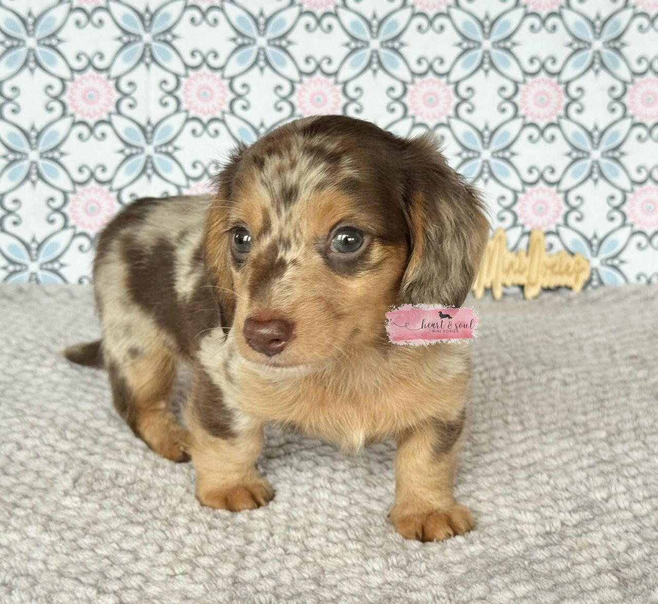 Max